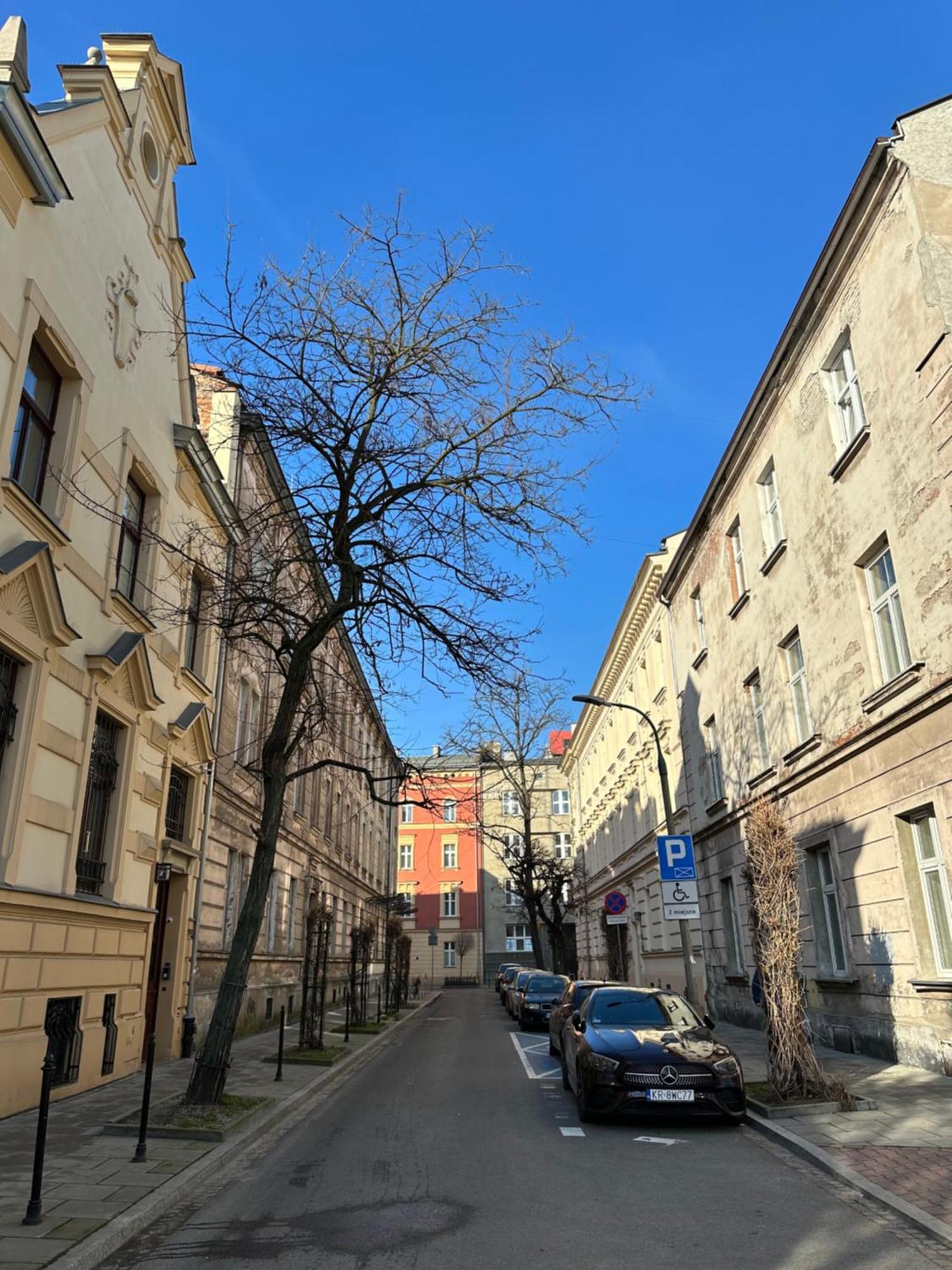 Perfect Place To Stay In Krakow City Center 18M2 W5 Esterno foto